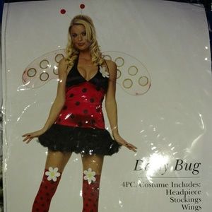 Ladybug costume